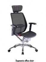 Ergonomic Office Chairs